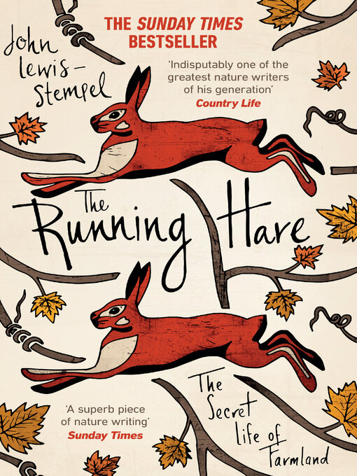 Cover image for The Running Hare